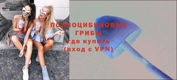 Альфа ПВП Карпинск