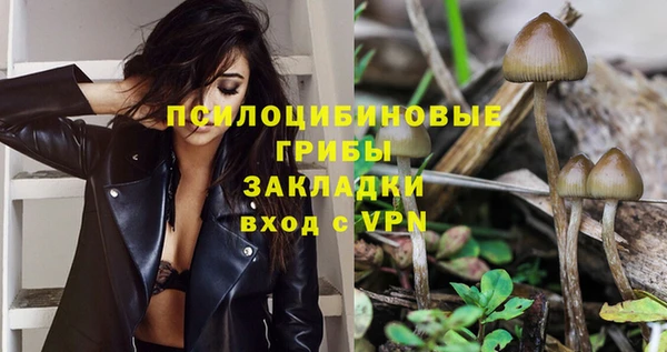 соль курить ск Касимов