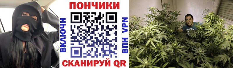 МАРИХУАНА планчик  Димитровград 
